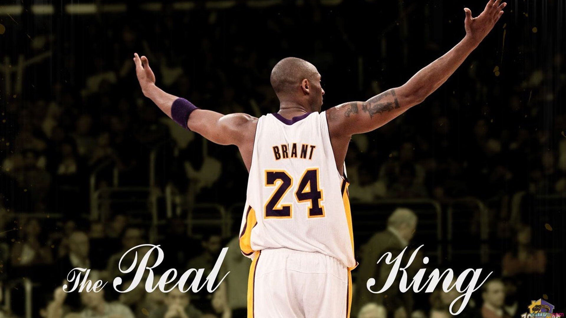 开云下载-韩国全民健康意识显著提升，韩国全民健康意识显著提升