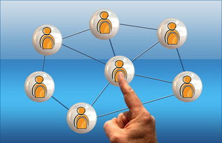 开云-高校电竞联赛冠军诞生 战术与团队缺一不可，高校电竞联盟挑战赛全国总决赛